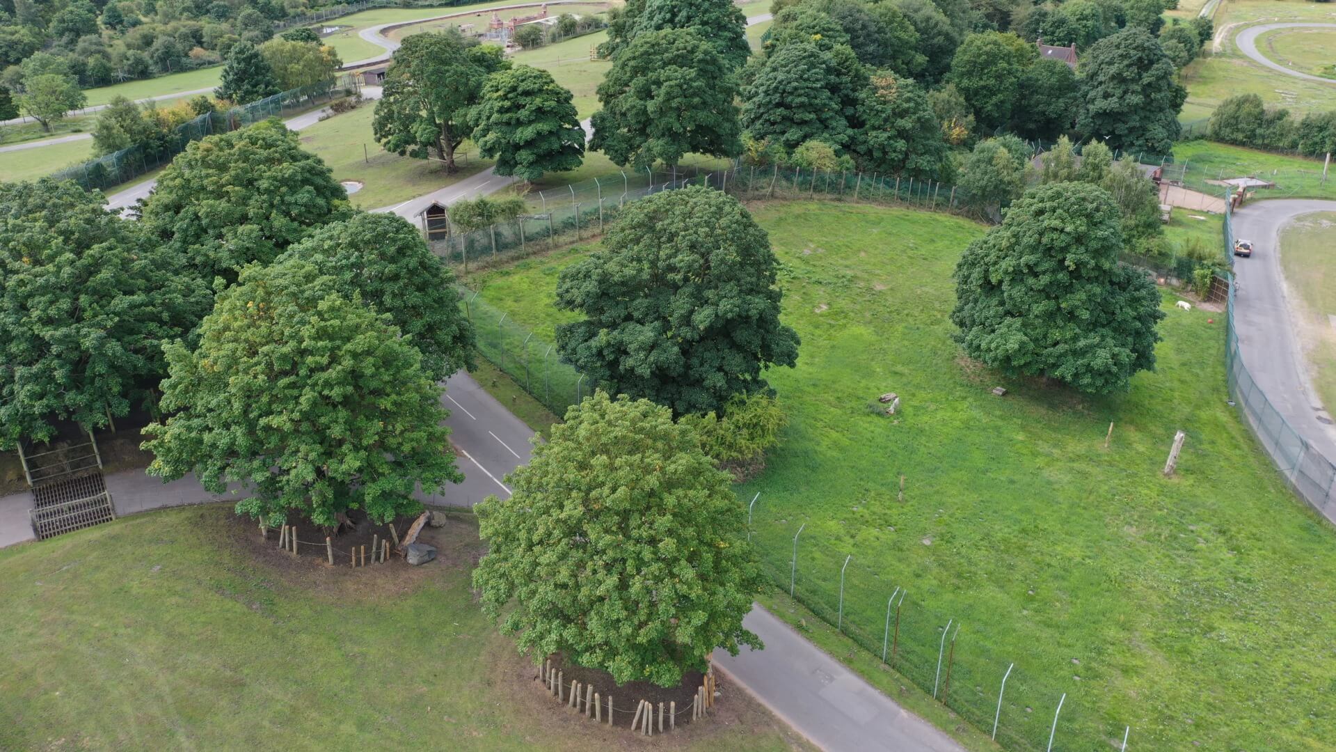 West Midlands Safari Park road and pathways