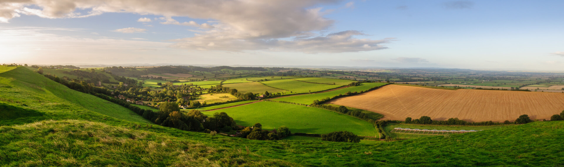 Somerset Uk Nature