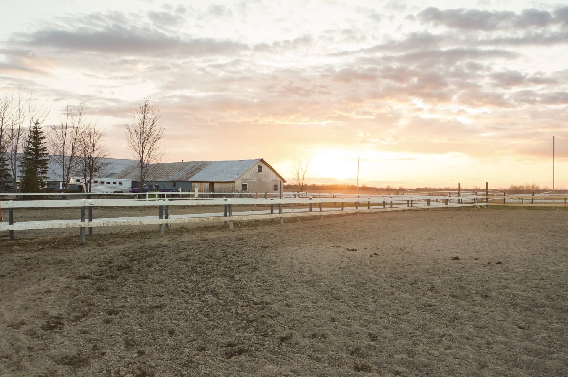 Horse riding yard